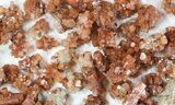 Lot: Small Twinned Aragonite Crystals - Pieces #78104-1